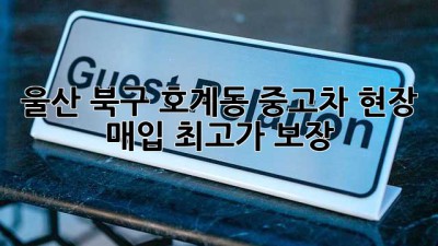 울산 북구 호계동 중고차 현장 매입: 최고가 보장!