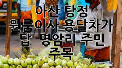 아산 탕정 원룸이사, 용달차가 답! 🚚💨 명암리 주민 주목!