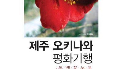 제주오키나와평화기행 후기: 놓치면 후회할 특별한 여행!