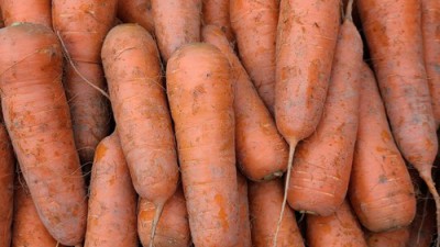 제주햇당근 10kg: 꿀팁 가득한 솔직 후기! 🥕